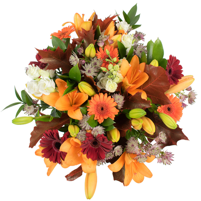 A carefully composed, slightly elevated overhead photograph of a full autumn bouquet, compact and richly textured with an intentional sense of abundance. Dominating the arrangement are several fully open orange Asiatic lilies, their broad trumpet-shaped petals curling with a smooth, satiny surface that catches the light. Scattered between them are vibrant orange Gerbera daisies and deep burgundy gerberas whose concentric, ray-like petals form precise, sunburst shapes and add a rustic cheer. Small, tightly closed lily buds in pale orange and bright green provide a layered chronology-flowering now and in the days ahead-while creamy white lisianthus punctuate the palette with soft ruffled volumes. Spidery, muted purple Astrantia sits like fragile lace throughout the bouquet, introducing a fine, powdery texture that contrasts the lilies' glossy planes. Large, lobed leaves in warm chestnut and burgundy are used deliberately to reference autumn foliage; their textured veins and curled margins recall fallen leaves from Roding Valley Park and the boughs that line local footpaths.Placed on a pristine white background with strong, even lighting, the bouquet's colors read vivid and saturated: oranges leap forward, burgundy recedes in a comforting way, and green foliage stabilises the composition. The overall effect is one of harvested warmth-perfect for Thanksgiving centrepieces, a seasonal mantle display, or a heartfelt gift for someone celebrating a birthday or milestone in Woodford. The arrangement feels expertly balanced, tactile, and scented with a mild floral sweetness threaded with leafy earthiness, the sort of bouquet a florist would assemble after a morning browse at the local market before delivering to homes around Woodford Green and Highams Park.