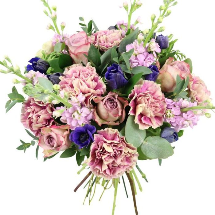 A lush, expertly spiralled bouquet is captured against a plain white backdrop, allowing every nuance of colour and texture to stand out with clarity. Dominating the central area are sumptuous garden roses in soft blush pink, faded rose, and muted mauve, their many-layered petals opening in perfect rosettes that speak of timeless romance. Interlaced with these are abundant ruffled carnations, whose petals begin as creamy beige and pale blush at the centre before deepening to rose and fuchsia at the fringed edges, creating a cloud-like, almost whipped-cream texture that adds fullness and visual softness. Adding a sophisticated counterpoint, several deep indigo-blue blooms appear like tightly cupped tulip or anemone buds, their velvety tones bringing depth and mystery. A standout royal blue anemone with an almost black centre faces forward near the base of the arrangement, immediately catching the eye and amplifying the contrast within the palette. Rising through the bouquet, slender stems of lilac and pale lavender stock carry rows of small, delicate flowers, offering vertical lift and the suggestion of a light, sweet fragrance drifting through a Woodford living room on a cool evening. Framing and supporting the flowers is a generous collar of foliage: broad, dark green leaves give definition and structure, while the rounded, silvery-green coins of eucalyptus branch out gracefully, softening the silhouette and hinting at a refreshing herbal scent. The hand-tied stems are neatly gathered and visible at the bottom, emphasising freshness and craftsmanship. This bouquet feels perfect for marking cherished moments in Woodford-an intimate wedding celebration, a special anniversary dinner near Woodford Bridge, or a refined thank-you gift to bring gentle colour and calm into someone's home.