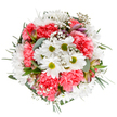 This radiant Woodford bouquet is a true celebration of fresh beginnings and lasting affection, capturing the spirit of spring with every stem. Central, cheerful white daisies fan out among sumptuous coral-pink carnations, their layered petals adding a touch of lively texture and warmth. Sprinkled throughout are clusters of graceful baby's breath, infusing lightness and an almost dreamlike quality, as if evoking early morning mists over Woodford Green. Subtle traces of unopened alstroemeria suggest future blossoms, their blush and purple-edged buds nestling among an ensemble of silvery eucalyptus and rich green foliage. The entire composition is defined by a harmonious roundness, thoughtfully arranged to accentuate both the individuality and interplay of each bloom. There's a tranquil yet exuberant energy that feels perfect for brightening a breakfast nook on Churchfields or marking a special day with a meaningful floral gesture. Effortlessly elegant, this bouquet combines classic floral favourites with subtle sophistication - a testament to the skill and passion found within the Woodford florist community. Whether sent as a birthday surprise, offered in thanks, or simply used to uplift, it fills any space with gentle fragrance and an air of artistic celebration.
