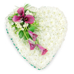 This image presents a poignant, heart-shaped floral tribute set against a bright white background, allowing the details of the design to stand out with clarity and grace. The main body of the heart is made up of an intricate blanket of white spray chrysanthemums, each tiny bloom carefully placed to form a seamless, plush surface that feels both soft and dignified. Their tidy, rounded petals sit close together, creating a calm, cloud-like texture that symbolises peace and the purity of cherished memories. Tracing the outer edge of the heart is a band of deep emerald green satin ribbon, its gentle lustre catching the light and offering a defined, elegant outline that enhances the heart's shape. Flowing from the upper left curve of the heart towards the lower right is a striking diagonal arrangement of deep magenta and fuchsia calla lilies. Several of these distinguished, trumpet-shaped flowers are fully open near the top, their rich colour and dark inner centres providing a dramatic focal point against the white base. A couple of slimmer, partially unfurled calla lilies extend downward, suggesting movement and tender farewell. Between and around these bolder blooms are touches of white freesias or similar small flowers, their star-like petals providing a softer texture and imagined sweetness of scent. Lush greenery, including glossy leaves and fine, airy fern, cradles the calla lilies and completes the composition with natural depth. This heart-shaped arrangement, ideal for a funeral or memorial in the Woodford area, expresses deep love, gratitude, and a gentle, dignified goodbye.